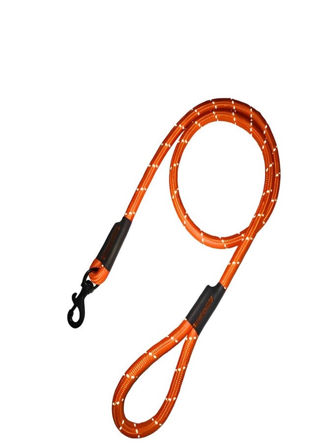 Blumfye Nylon Thick Pet Dog Cat Neck Collar Harness Leash Rope Belt Patta Chain for Small Medium Large Big Size Dogs Cats (Multicolor)